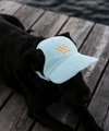 WeDogs Cap Blue