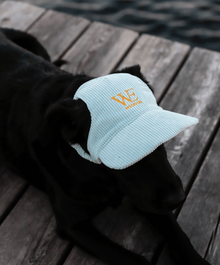  WeDogs Cap Blue