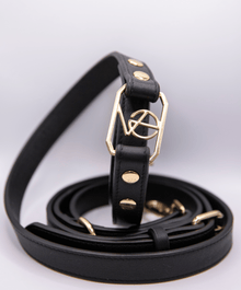  VE Handsfree Leash Noir