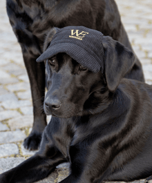  WeDogs Cap Black