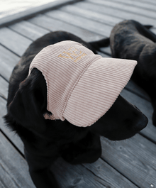  WeDogs Cap Beige